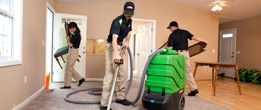 Kingsport, TN cleaning services